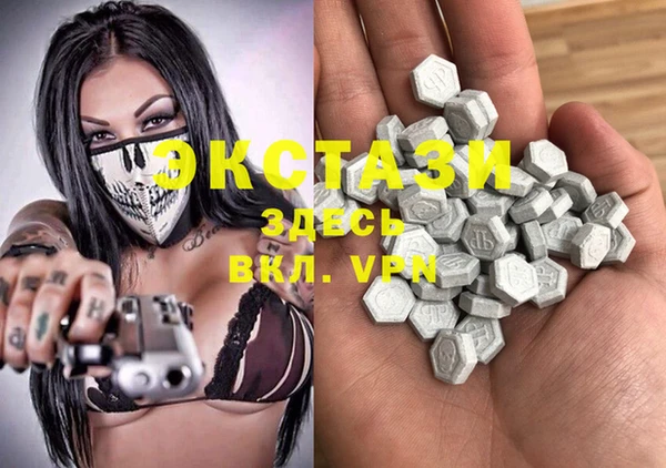 первитин Няндома
