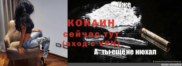 шишки Новокубанск
