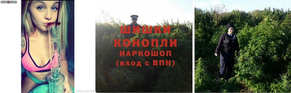 кокс Гусиноозёрск