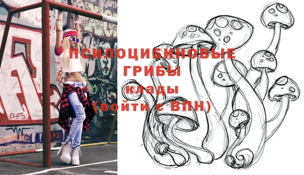 шишки Новозыбков