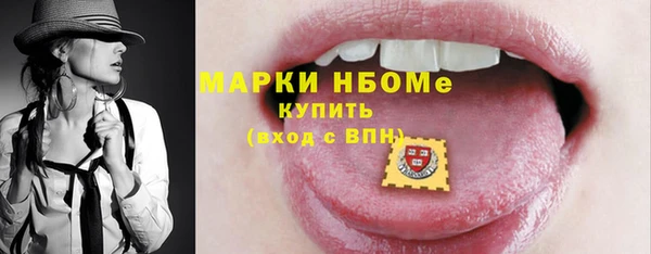 шишки Новозыбков