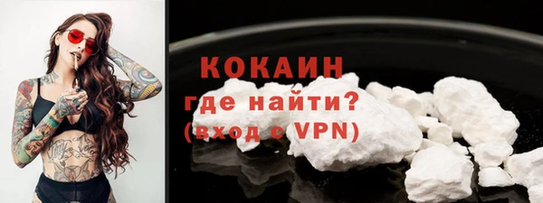 шишки Новозыбков