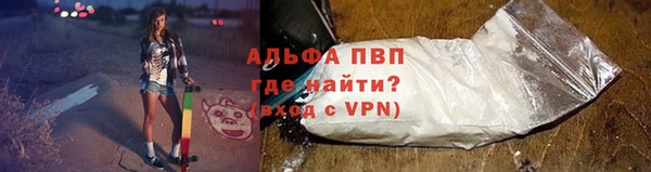 шишки Новокубанск