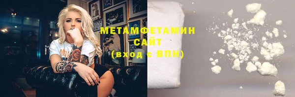 шишки Новозыбков