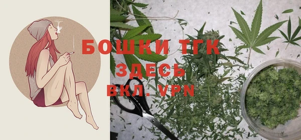 шишки Новозыбков