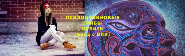 шишки Новозыбков