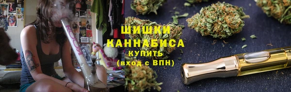 шишки Новокубанск