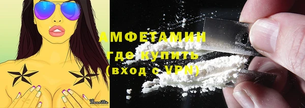 шишки Новозыбков