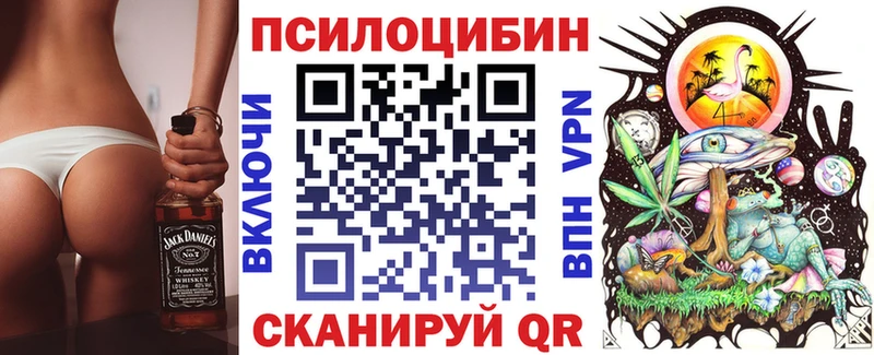 Галлюциногенные грибы Magic Shrooms  mega ССЫЛКА  Кашин 