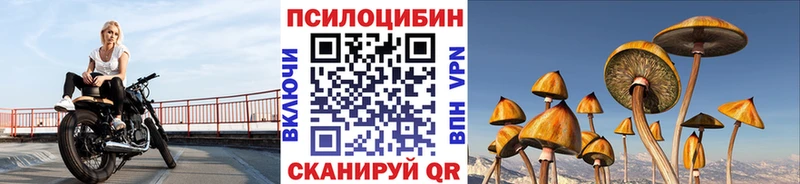 Галлюциногенные грибы мицелий Кашин